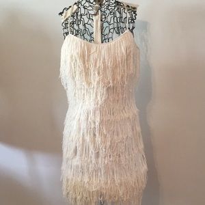 Vintage Flapper Costume
